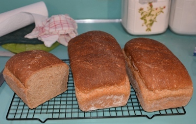 Bread-02-28-2017