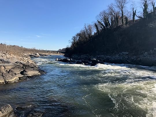 Spring in February: More evidence the world has gone off the rails