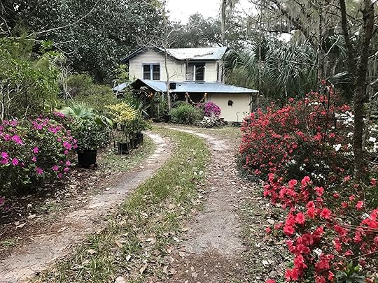 Decency as an act of political dissent