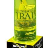 Spirit Bee yellow jacket tips 2