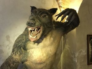 werewolf at the torture museum