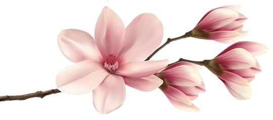 Image result for magnolia border