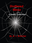 Shattered Mirror1