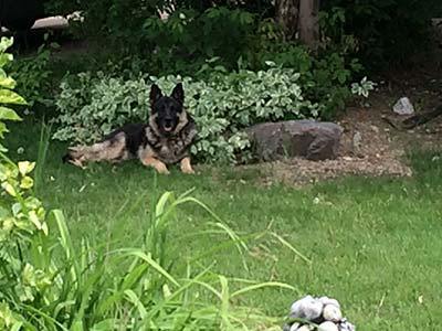 Favourite Photo Dr. Sharon A. Mitchell