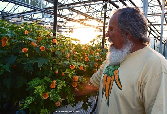 Lloyd Traven at Peace Tree Farm