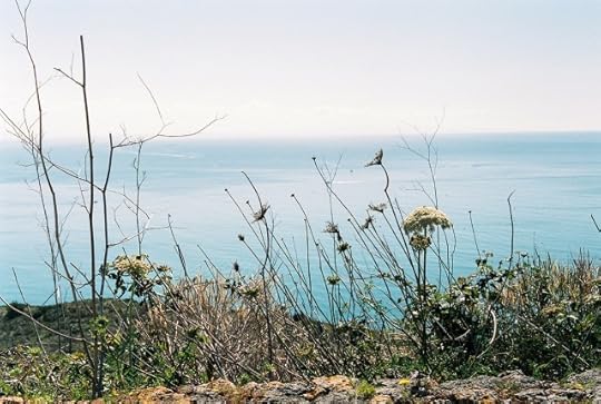 acquacotta-film-photos2
