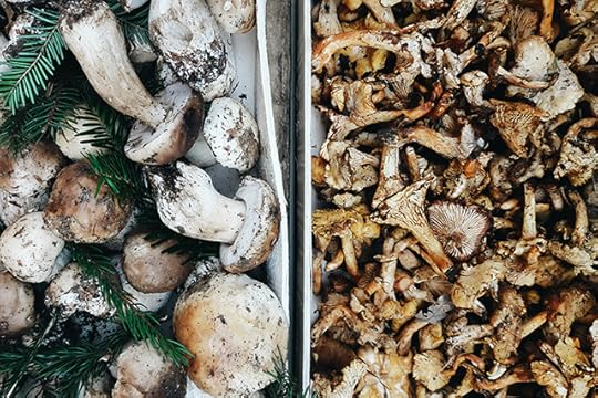 latteria-studio-funghi-mercato