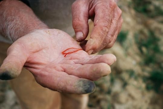saffron threads