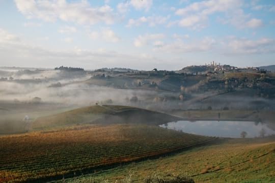 autumn at Fattoria Poggio Alloro, San Gimignano