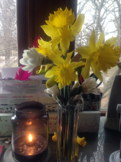 Daffs2017