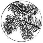 Oasis-xoem-2