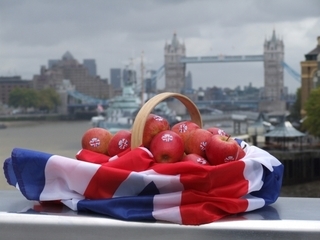  photo IMG_2955_zpsbt0zt6y9.jpg