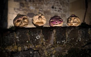  photo IMG_2957_zps7onqj6ne.jpg