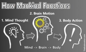 How Man Function: The mind think, the brain receives/transmits and then the body acts.