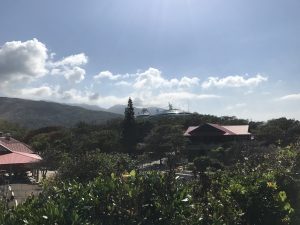 IMG_9594