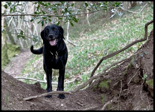 ''Tilly'' by Stu Jenks