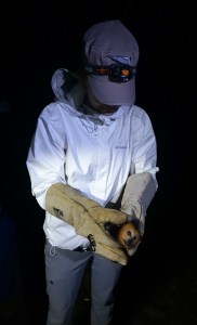 Laura King, conservation biologist, in Mauritius with New Noah Scholarship from Wildlife Preservation Canada