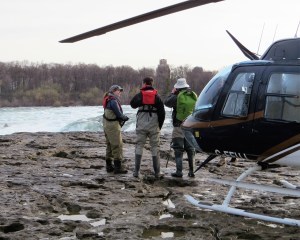 Laura King, conservation biologist, doing field work