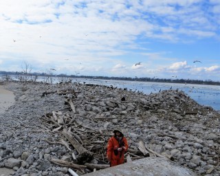 Laura King Biologist Bird surveys Niagara