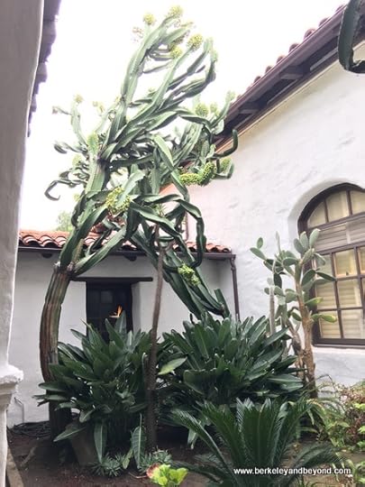 interior garden at San Diego de Alcala mission in San Diego, California