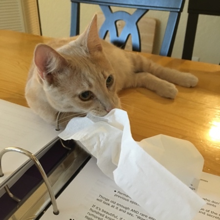 Sheldon Helping 01