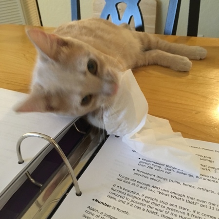 Sheldon Helping 02
