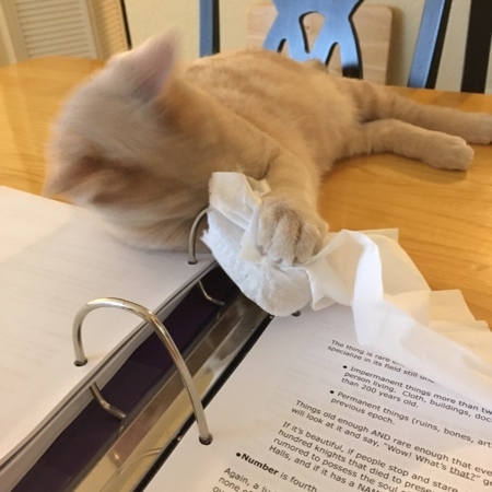 Sheldon Helping 03