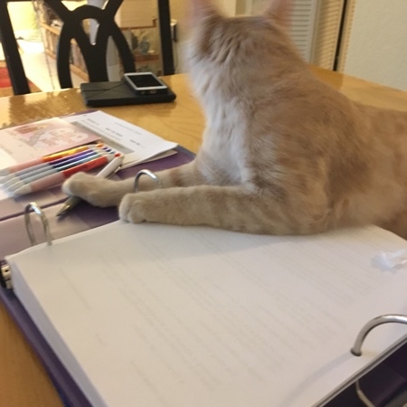 Sheldon Helping 05