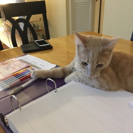 Sheldon Helping 08