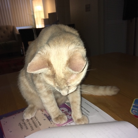 Sheldon Helping 10