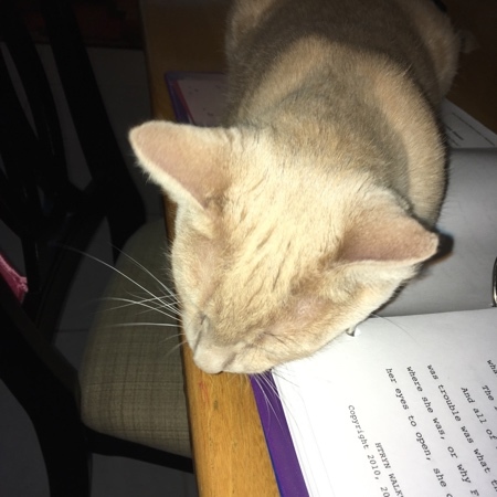 Sheldon Helping 13
