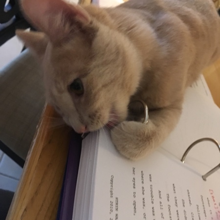 Sheldon Helping 14