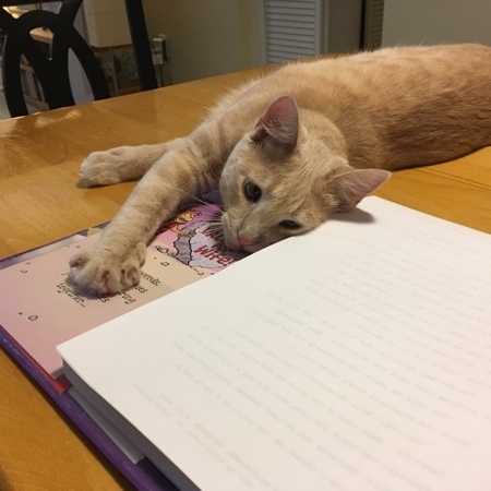 Sheldon Helping 19
