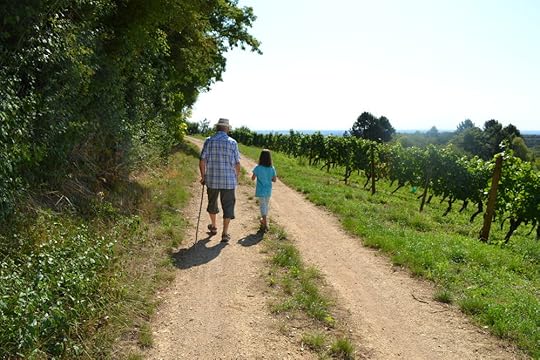 Clémentine and her Papy taking their daily constititional around the vineyards of the Mont Saint Victor.