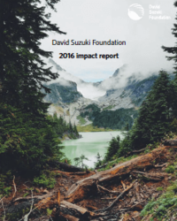 Photo: 2016 Impact Report