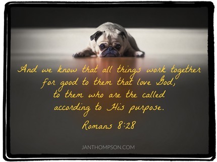 ROMANS828-MD02