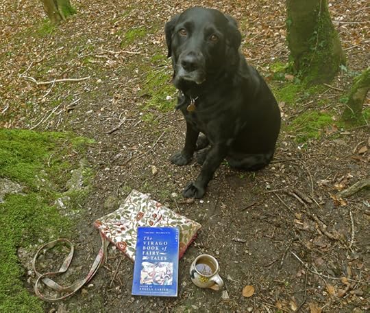 Fairy Tales in the woods