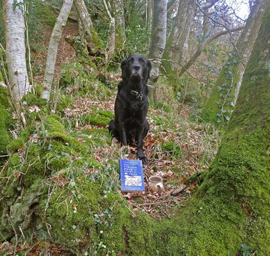 The First Virago Book of Fairy Tales