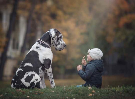 Little Kids and Their Big Dogs 4-- bookspoils