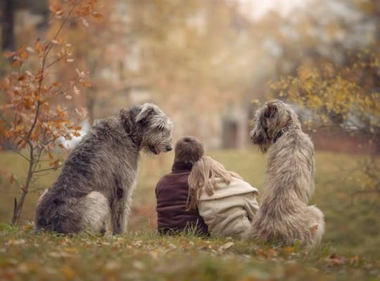 Little Kids and Their Big Dogs 5-- bookspoils