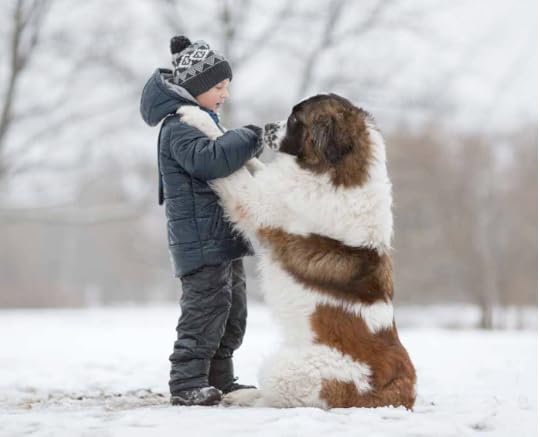 Little Kids and Their Big Dogs 8-- bookspoils