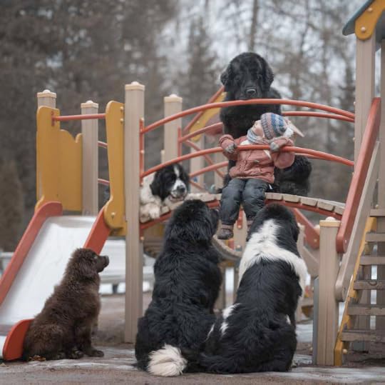 Little Kids and Their Big Dogs 10-- bookspoils