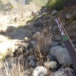 Sespe River Trail