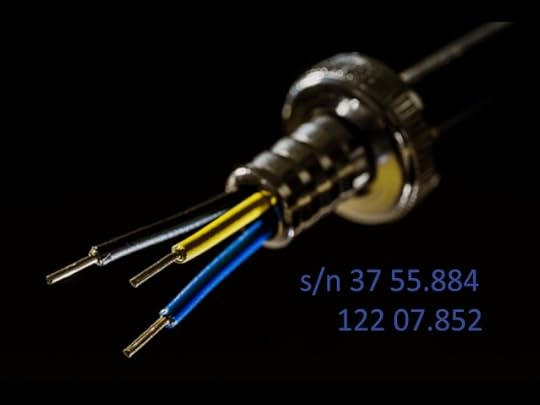 Wired to Eat by Robb Wolf