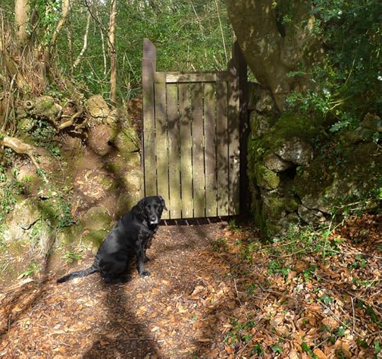 Woodland gate