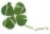  photo shamrock2_zpstemqbkmt.jpg