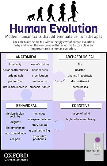 human evolution