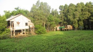 đồng tháp mười