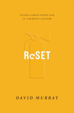 DavidMurrayReset