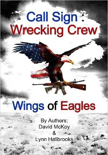 Cover art for Call Sign: Wrecking Crew Wings of Eagles